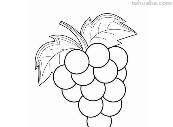 每天学一幅简笔画-一大波水果简笔画图片大全