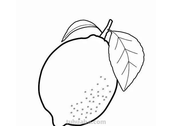 每天学一幅简笔画-一大波水果简笔画图片大全