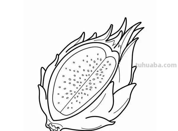 每天学一幅简笔画-一大波水果简笔画图片大全
