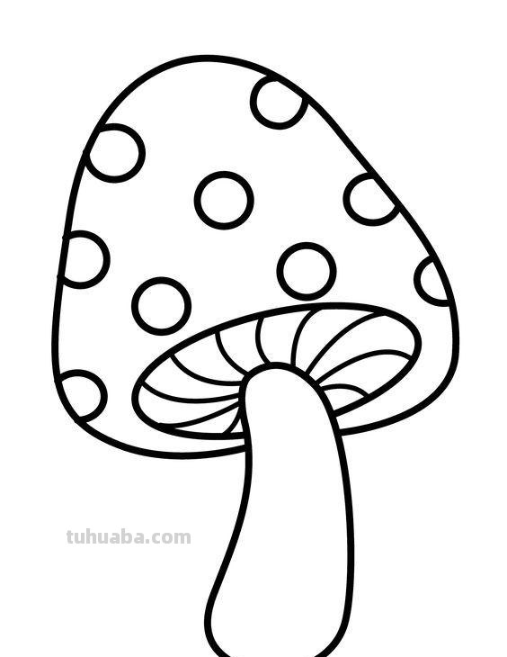 50张水果蔬菜高清简笔画手稿，不看你就亏大了