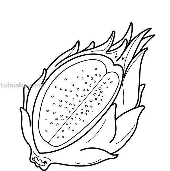 50张水果蔬菜高清简笔画手稿，不看你就亏大了