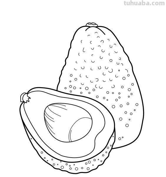 50张水果蔬菜高清简笔画手稿，不看你就亏大了