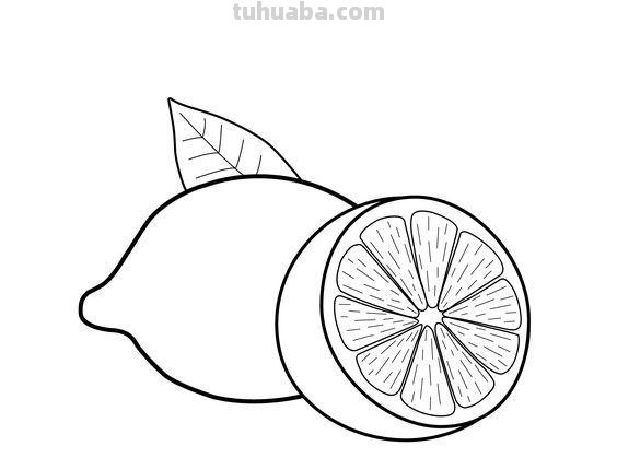 50张水果蔬菜高清简笔画手稿，不看你就亏大了