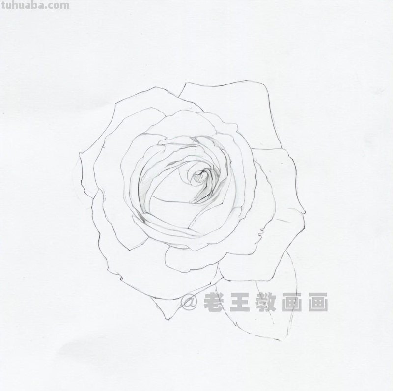 零基础画花的小教程，拿走不谢