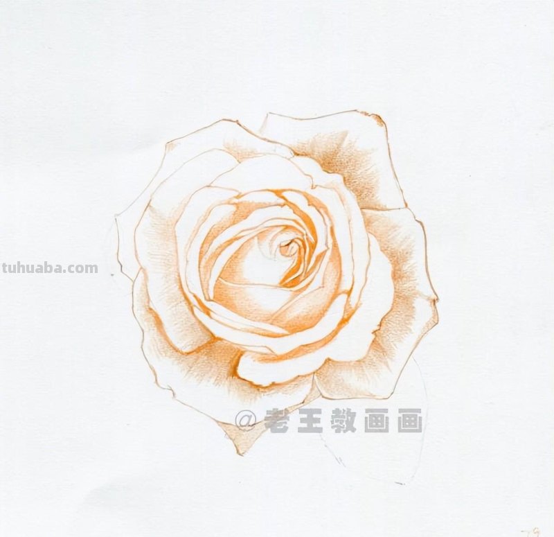 零基础画花的小教程，拿走不谢