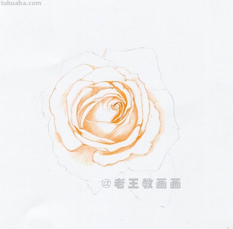 零基础画花的小教程，拿走不谢