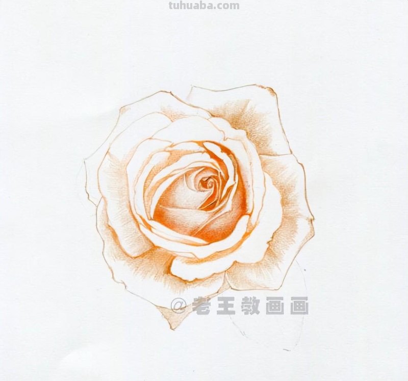 零基础画花的小教程，拿走不谢