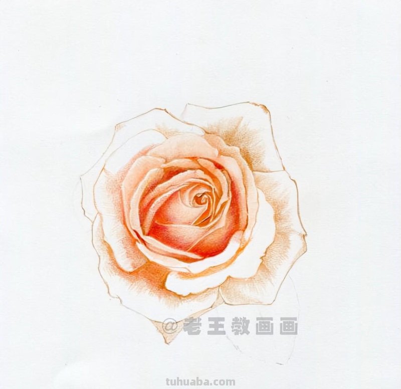 零基础画花的小教程，拿走不谢