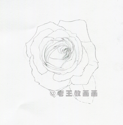 零基础画花的小教程，拿走不谢