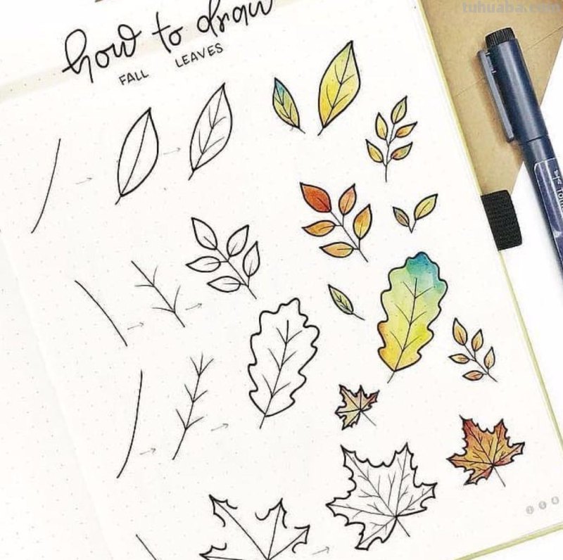 春暖花开｜20多款简笔画，简单好看