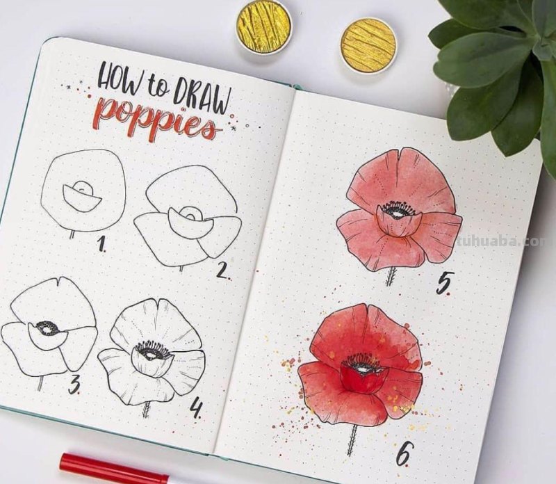 春暖花开｜20多款简笔画，简单好看