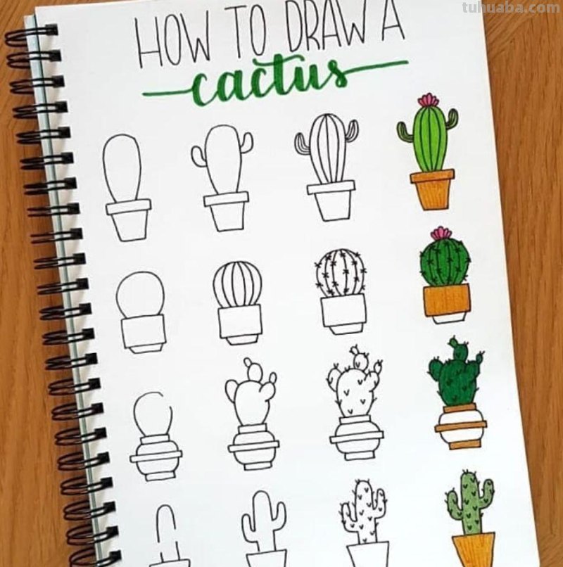 春暖花开｜20多款简笔画，简单好看