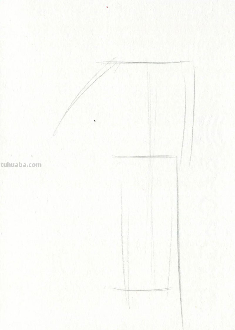 这么美的菊花，你也可以画出来