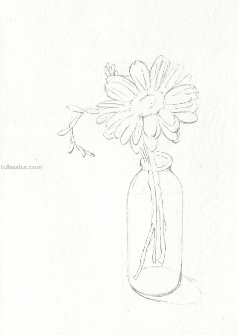 这么美的菊花，你也可以画出来