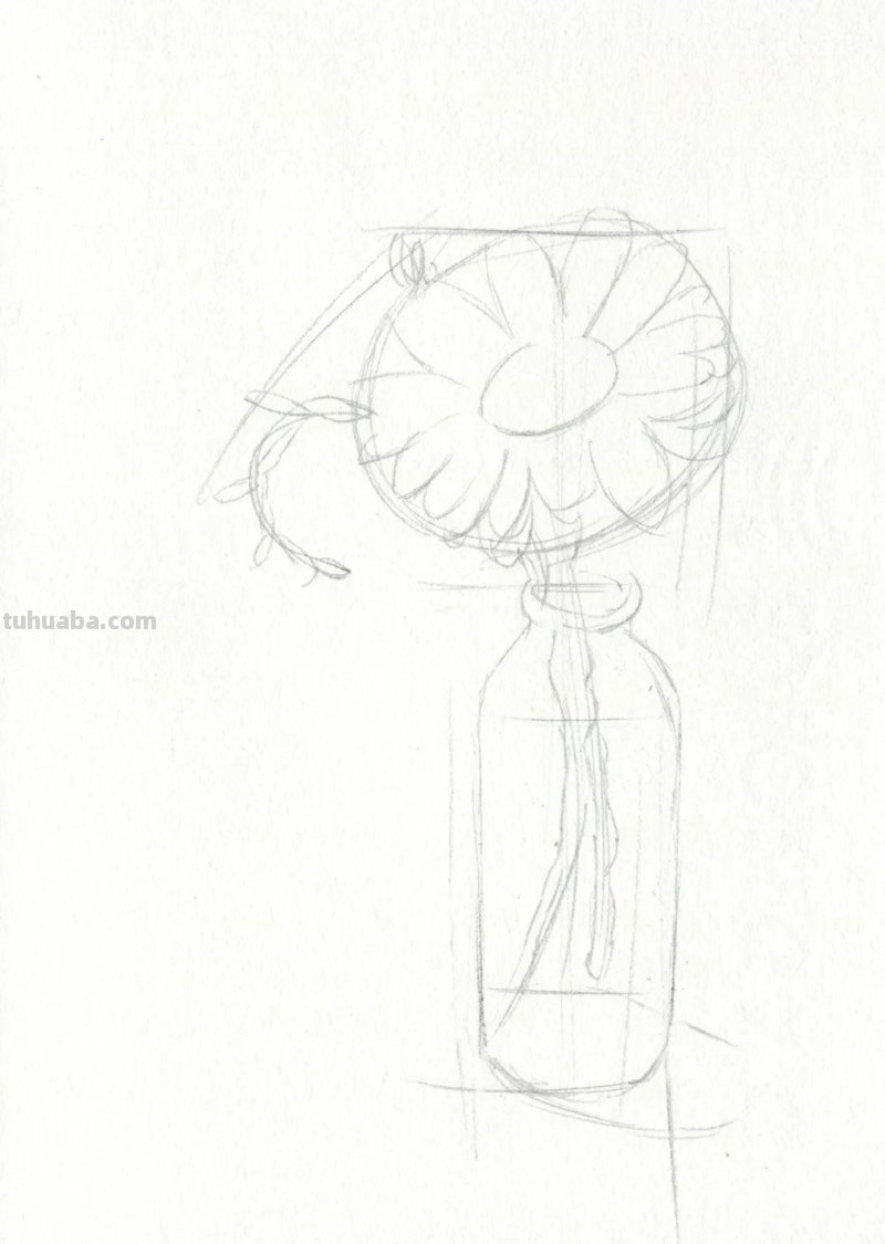 这么美的菊花，你也可以画出来