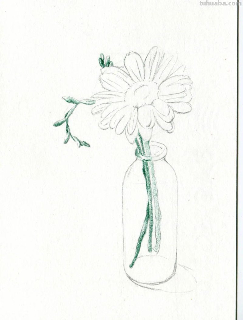 这么美的菊花，你也可以画出来