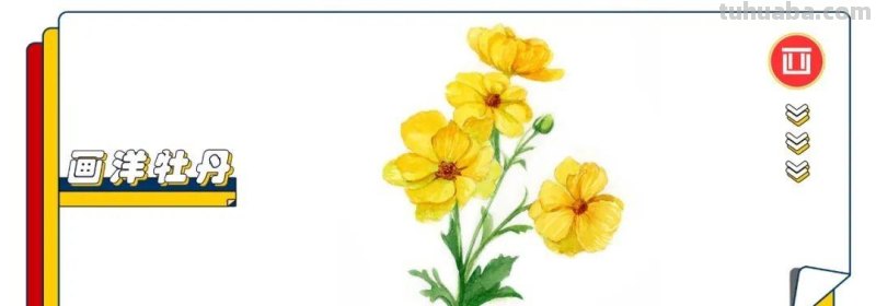 花虽美，画出来更美！