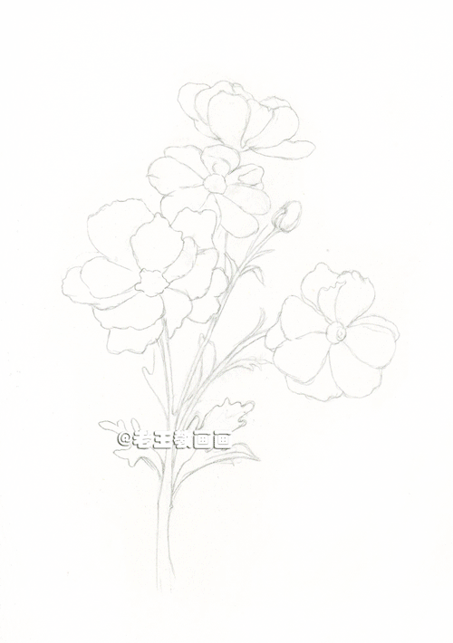 花虽美，画出来更美！