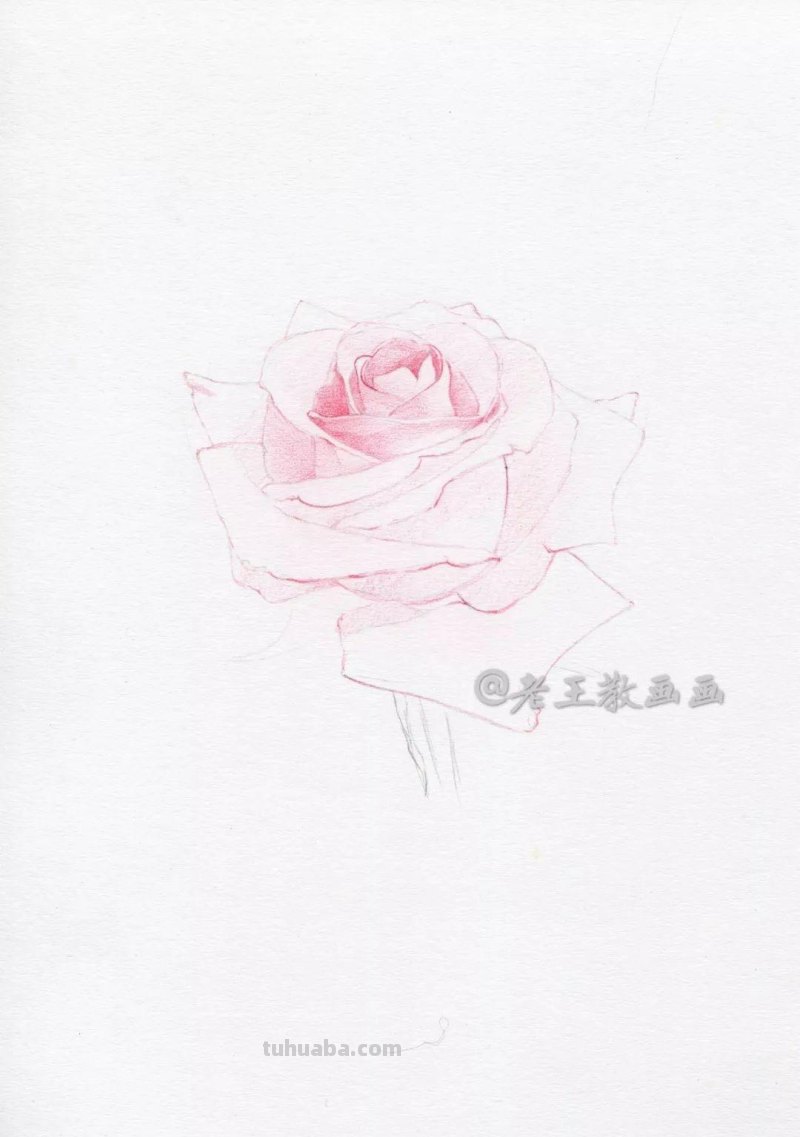 零基础也能画彩铅，教你画一朵写实玫瑰花