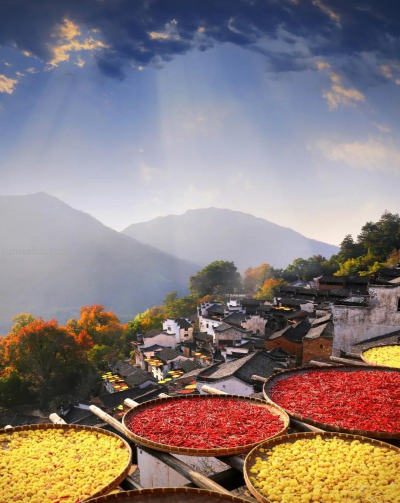 首发！《篁岭晒秋》连环画来啦