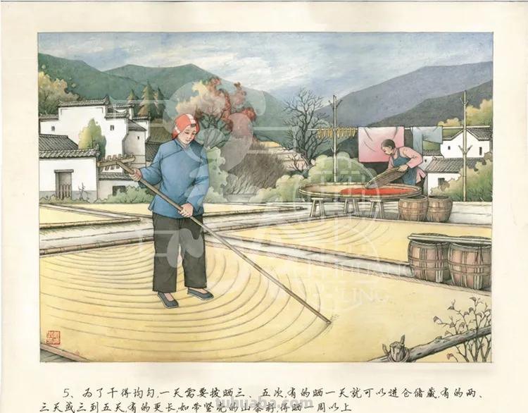 首发！《篁岭晒秋》连环画来啦