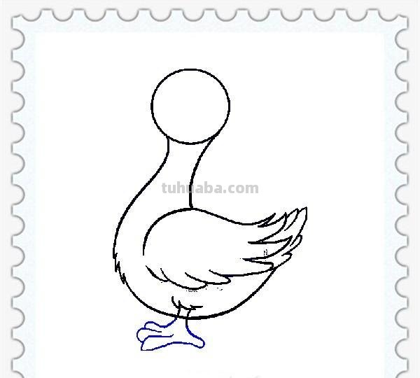儿童简笔画精选「家禽家畜」-小黄鸭的画法