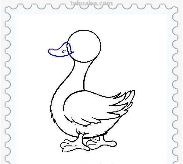 儿童简笔画精选「家禽家畜」-小黄鸭的画法