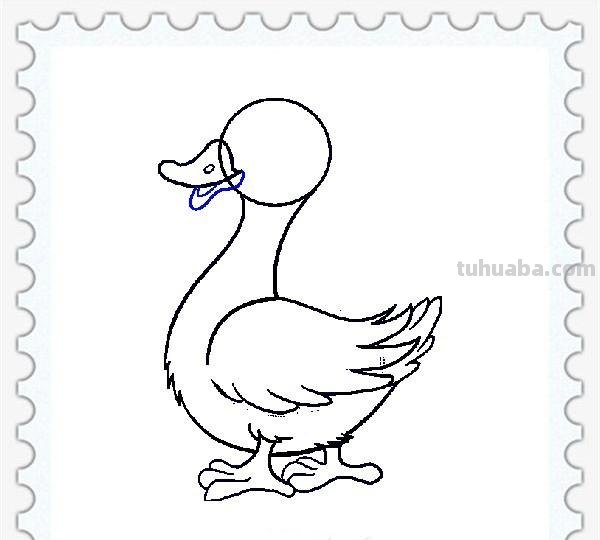 儿童简笔画精选「家禽家畜」-小黄鸭的画法