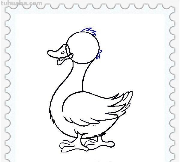 儿童简笔画精选「家禽家畜」-小黄鸭的画法