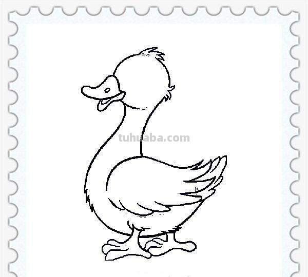 儿童简笔画精选「家禽家畜」-小黄鸭的画法