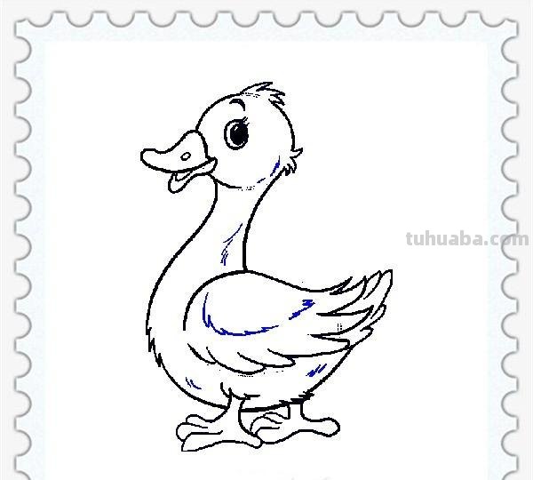 儿童简笔画精选「家禽家畜」-小黄鸭的画法