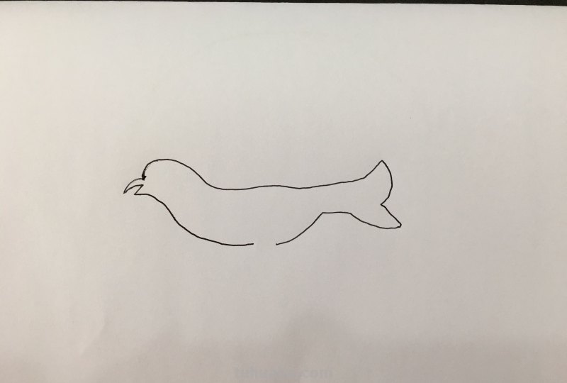 简笔画-小小飞行家,人类的好朋友 简笔画-小小飞行家,人类的好朋友