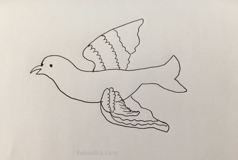 简笔画-小小飞行家,人类的好朋友 简笔画-小小飞行家,人类的好朋友