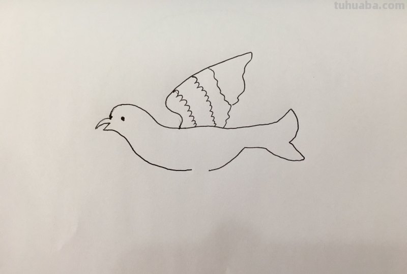 简笔画-小小飞行家,人类的好朋友 简笔画-小小飞行家,人类的好朋友