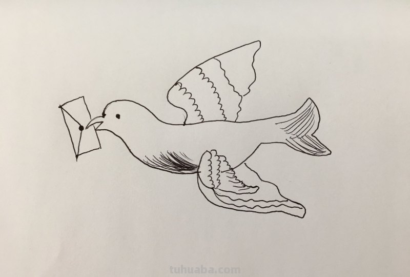 简笔画-小小飞行家,人类的好朋友 简笔画-小小飞行家,人类的好朋友