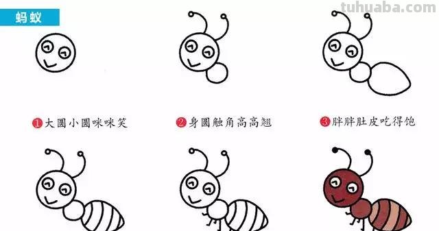 简笔画教程-手把手教你画不一样的动物昆虫