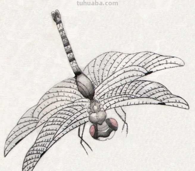 工笔画零基础教程：学会这些工笔画技法，这几类昆虫画法很简单！