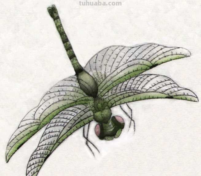 工笔画零基础教程：学会这些工笔画技法，这几类昆虫画法很简单！
