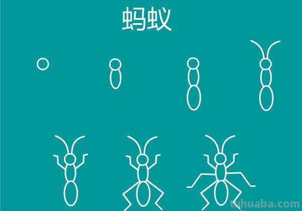 一大波昆虫简笔画教程来袭