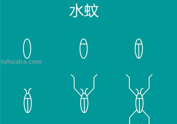 一大波昆虫简笔画教程来袭