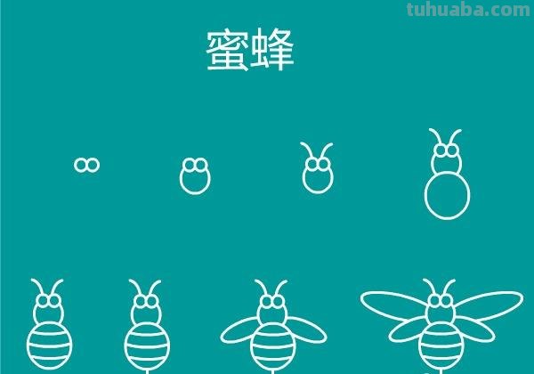 一大波昆虫简笔画教程来袭