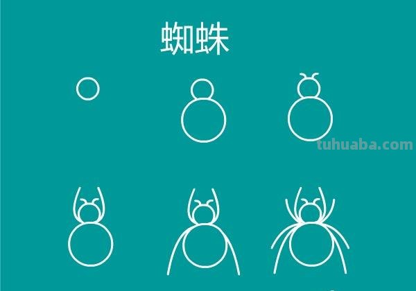 一大波昆虫简笔画教程来袭
