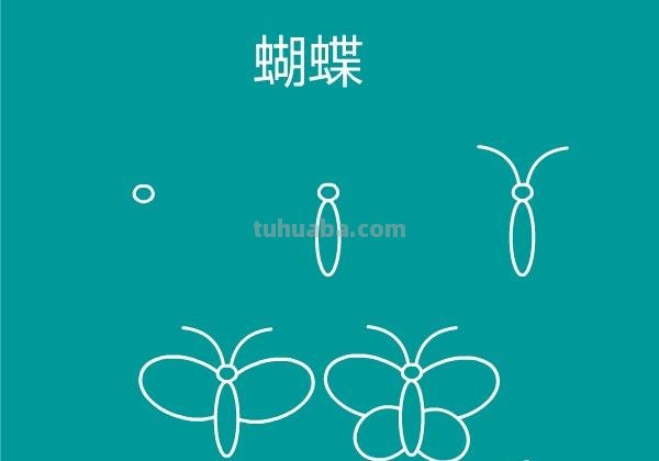 一大波昆虫简笔画教程来袭