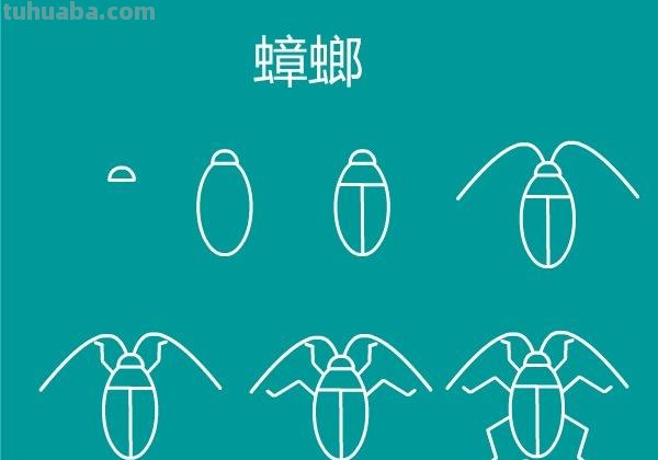 一大波昆虫简笔画教程来袭