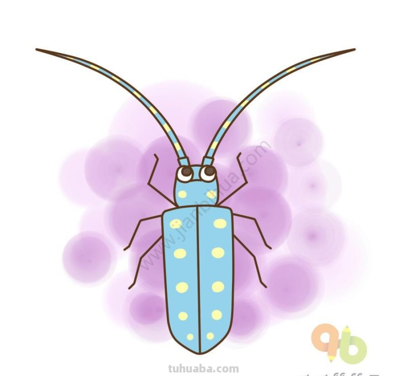 昆虫简笔画素材,看看你认识几种昆虫? 昆虫简笔画素材,看看你认识几种昆虫?