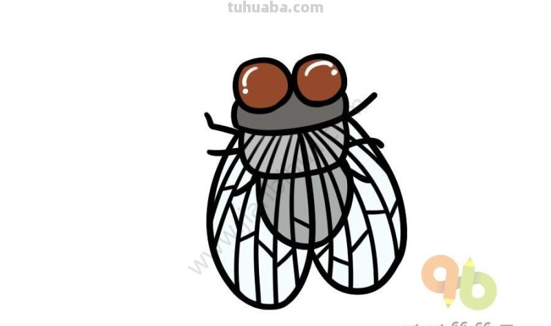 昆虫简笔画素材,看看你认识几种昆虫? 昆虫简笔画素材,看看你认识几种昆虫?