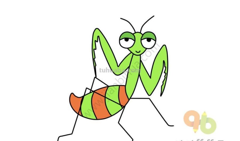 昆虫简笔画素材,看看你认识几种昆虫? 昆虫简笔画素材,看看你认识几种昆虫?