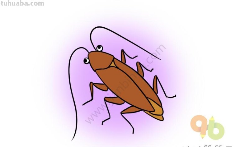 昆虫简笔画素材,看看你认识几种昆虫? 昆虫简笔画素材,看看你认识几种昆虫?