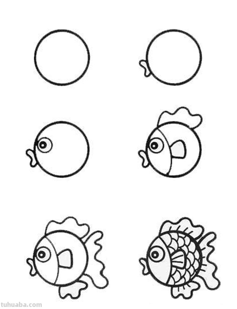 4步就能画各种鱼的简笔画，非常适合零基础入门教程