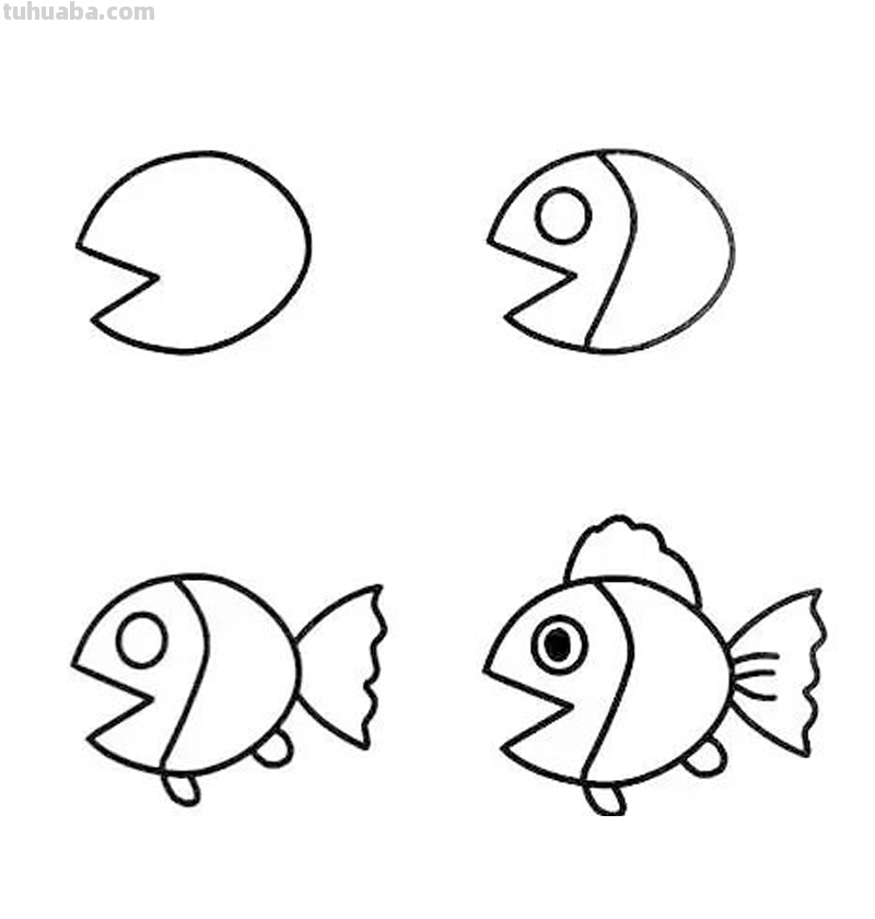 4步就能画各种鱼的简笔画，非常适合零基础入门教程